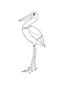 Stork coloring page