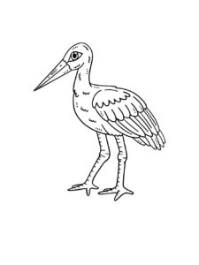 Stork coloring page