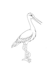 Stork coloring page