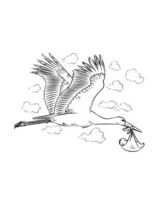 Stork coloring page