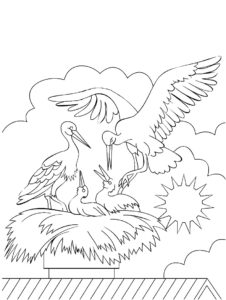 Stork coloring page