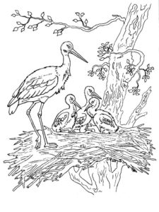 Stork coloring page