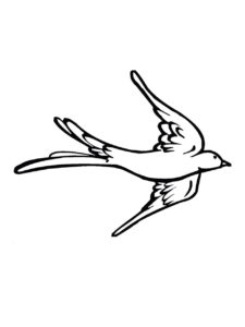 Swallow coloring page