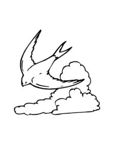 Swallow coloring page