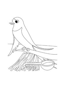 Swallow coloring page