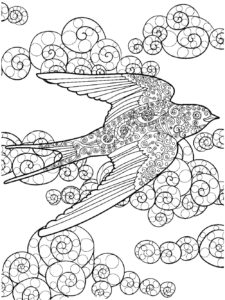 Swallow coloring page