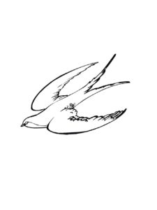 Swallow coloring page