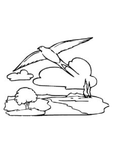 Swallow coloring page