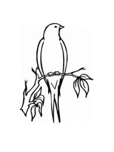 Swallow coloring page