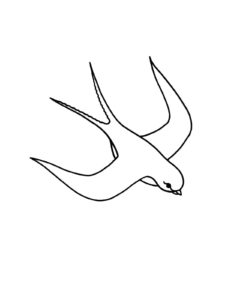 Swallow coloring page