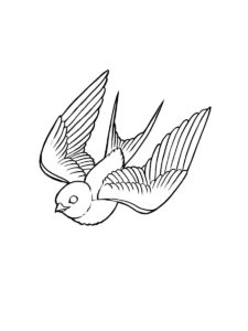 Swallow coloring page