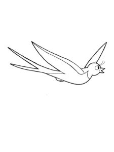 Swallow coloring page