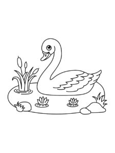 Swan coloring page