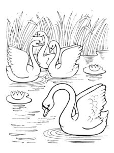 Swan coloring page