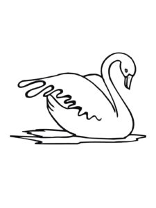 Swan coloring page