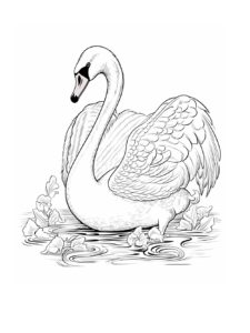 Swan coloring page