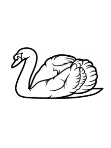 Swan coloring page