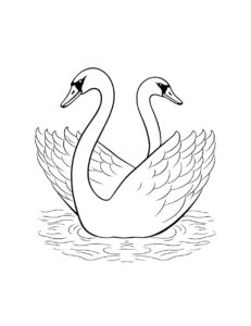 Swan coloring page