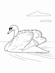 Swan coloring page