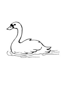 Swan coloring page