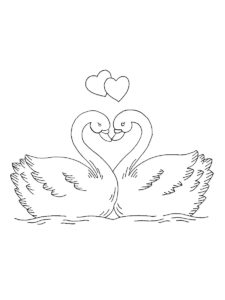 Swan coloring page