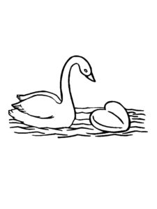 Swan coloring page