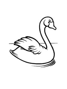 Swan coloring page