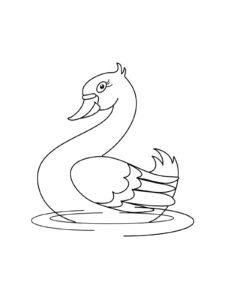 Swan coloring page