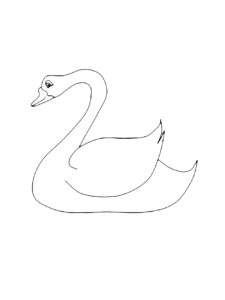 Swan coloring page