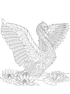 Swan coloring page