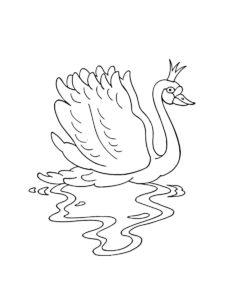 Swan coloring page