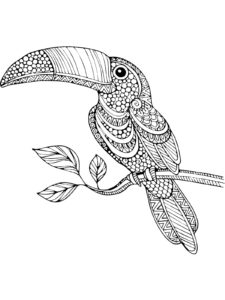 Toucan coloring page