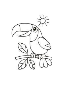 Toucan coloring page