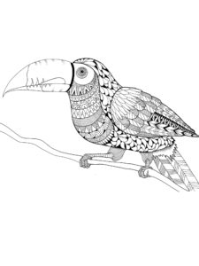 Toucan coloring page