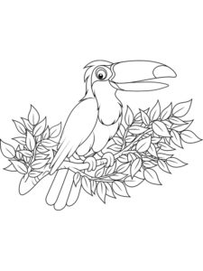 Toucan coloring page