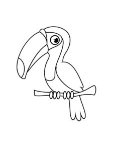 Toucan coloring page