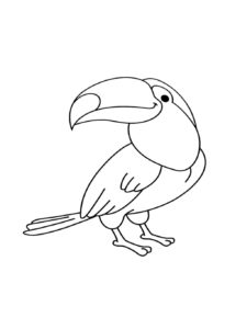 Toucan coloring page