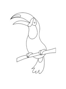 Toucan coloring page