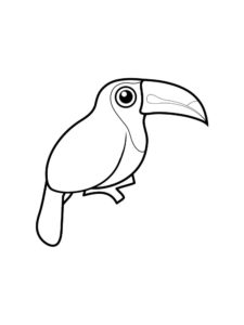 Toucan coloring page