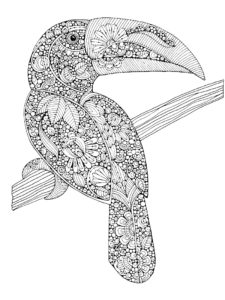 Toucan coloring page