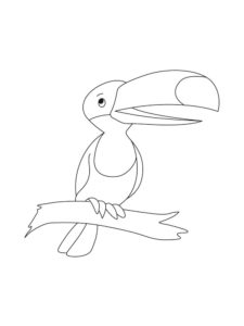 Toucan coloring page