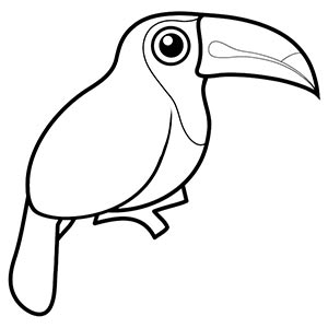 Toucan coloring pages