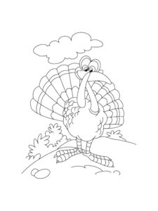 Turkey coloring page