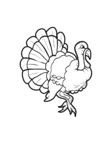 Turkey coloring page