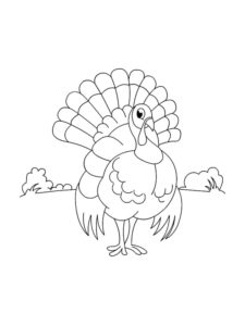 Turkey coloring page