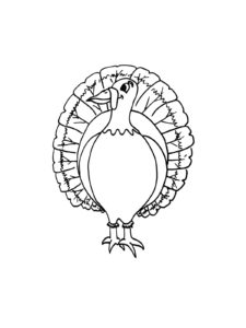 Turkey coloring page