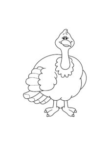 Turkey coloring page