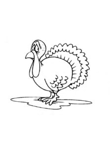 Turkey coloring page