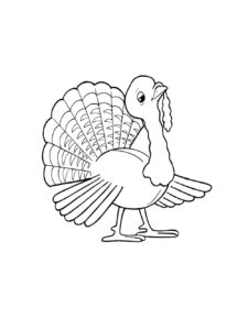 Turkey coloring page