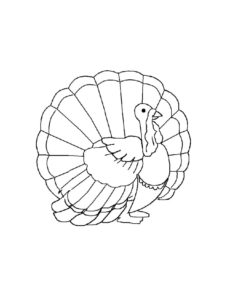 Turkey coloring page